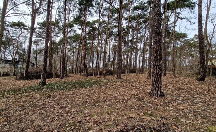 działka na sprzedaż - Łask